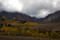 Fall Colors Eastern Sierra